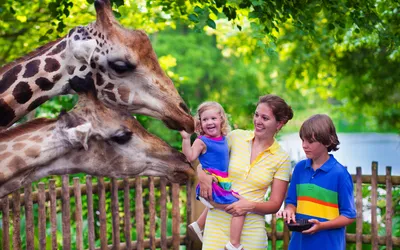 Zoo Hannover
